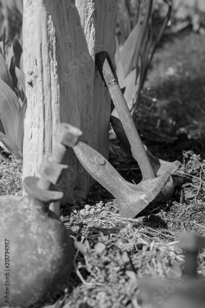Obraz Anchor
