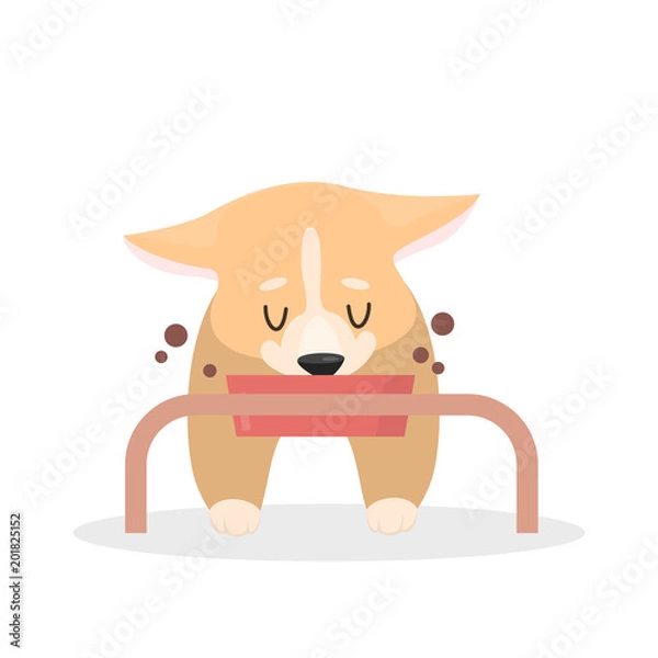 Obraz Isolated corgi dog.