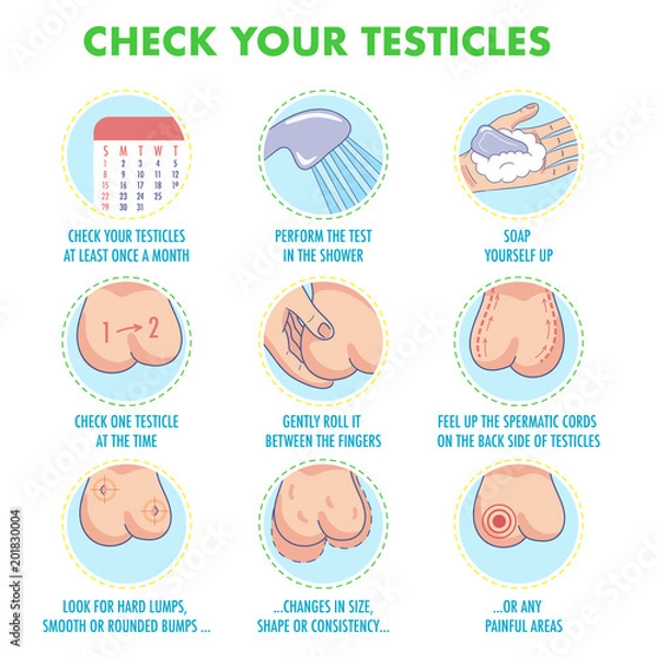 Fototapeta Testicles self exam. Testicle cancer symptoms and monthly examination infographics. Vector icon set.I Illustration for flyers, brochures, web resources, health centers.
