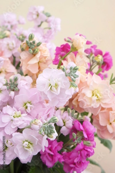 Fototapeta ストック