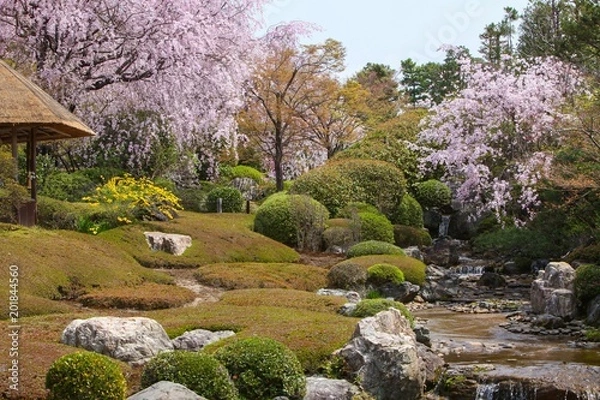 Obraz 春の日本庭園