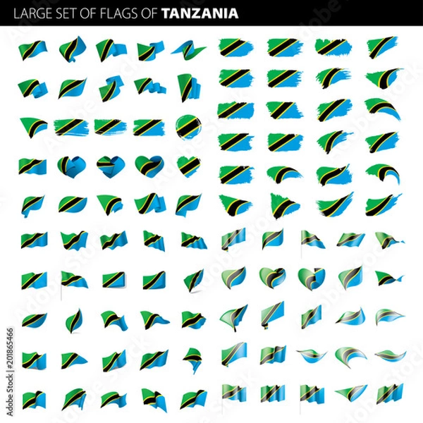 Fototapeta Tanzania flag, vector illustration