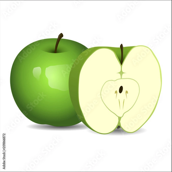 Fototapeta Realistic fresh green apple isolated on white background. Vector illustration