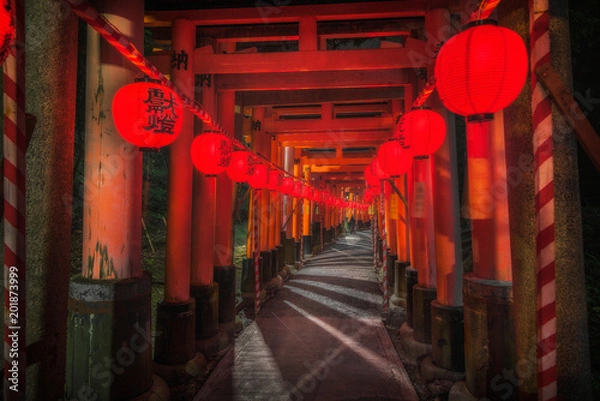 Fototapeta 京都 - 伏見稲荷