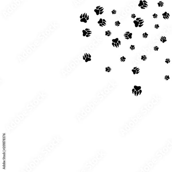 Fototapeta Monochrome Bear Footprints in Black and White. Prints of Paws with Big Claws for Petshop Design or for Goods for Pets. Simple Pattern for Print, Logo or Poster. Vector Confetti Background.