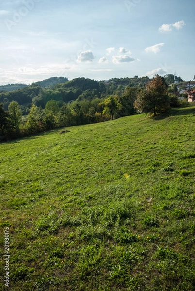 Obraz Beautiful nature and amazing sunny day