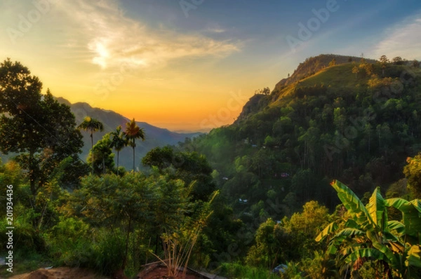 Obraz Ella, Sri Lanka.