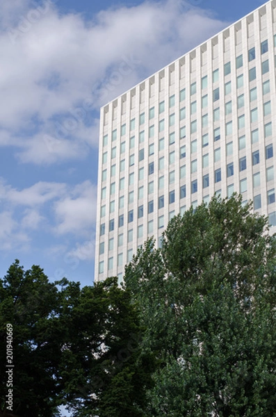 Fototapeta ビルと樹木