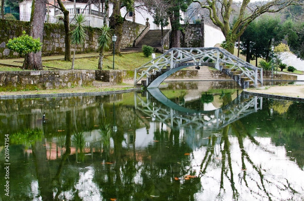 Obraz Small lake in the forest