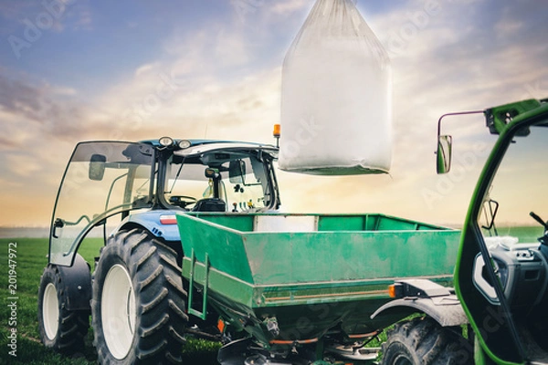 Obraz driver puts a sack of fertilizers on a square tractor trailer in the field in the spring