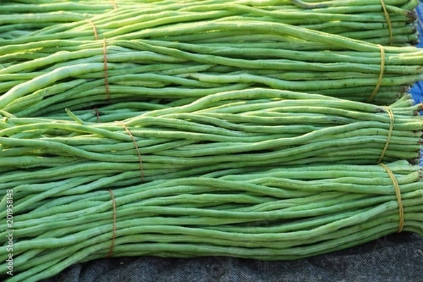 Fototapeta Long bean for cooking in the market