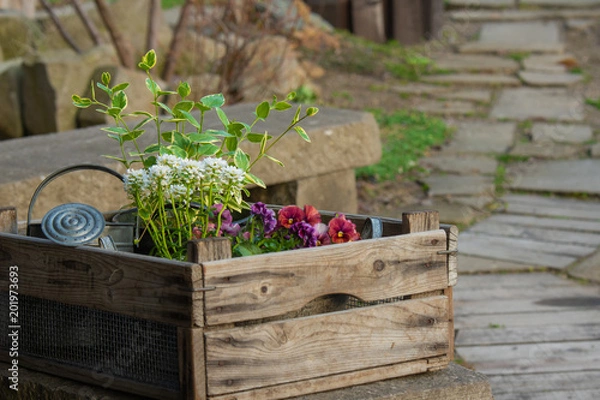 Fototapeta ガーデニング、事始め