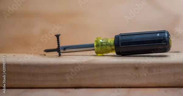 Obraz Screwing into fresh lumber