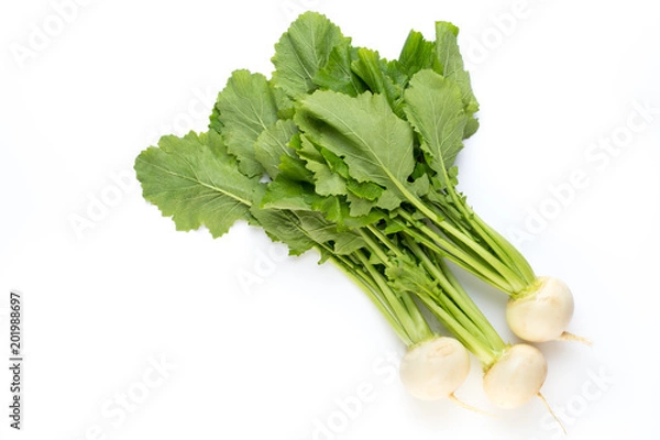 Fototapeta Fresh white round turnip radish on white background.