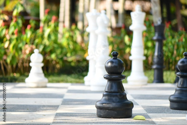 Obraz Pawn of a Giant Chess Board