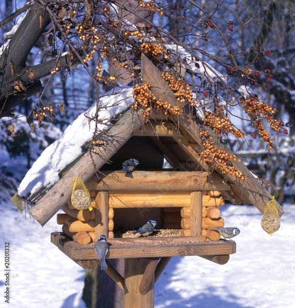 Obraz Vogelhaus_113379