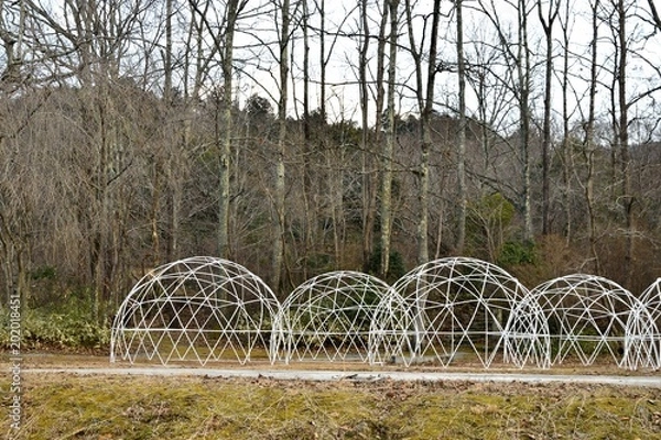 Obraz 落葉樹とオブジェ