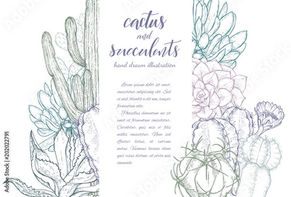 Fototapeta Sketch linear cactus ans succulents