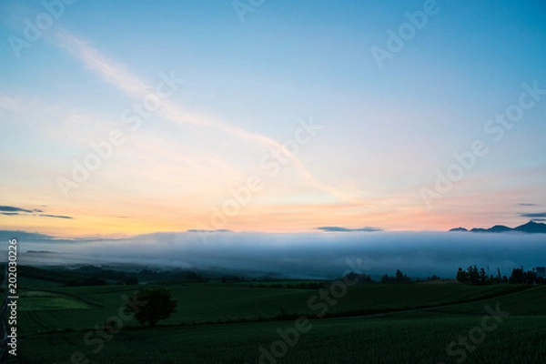 Fototapeta 上富良野　千望峠の風景