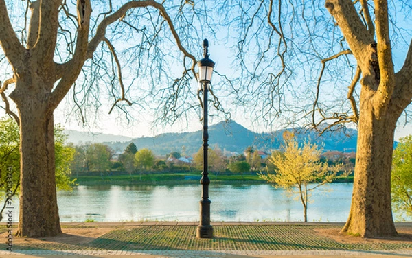 Obraz Two trees a ligh and a river