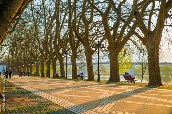 Obraz Couples chilling in park