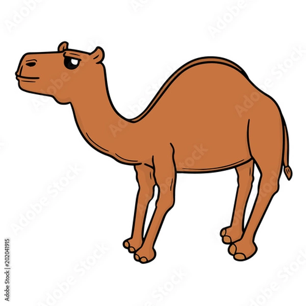 Fototapeta vector of camel