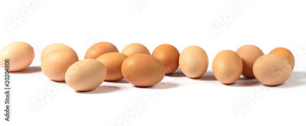 Obraz brązowe jajka