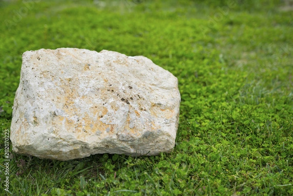 Fototapeta stone over grass