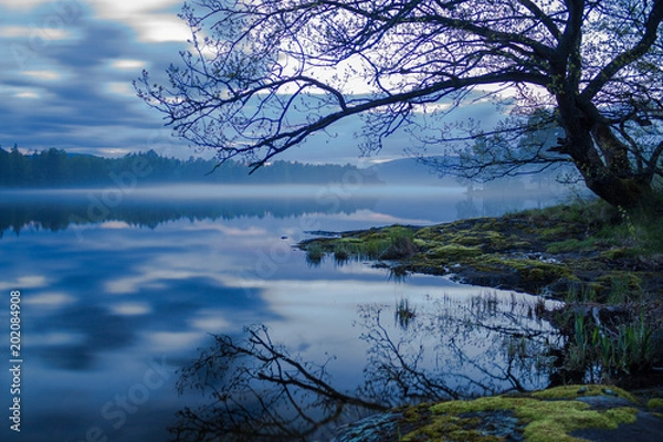 Fototapeta Misty lake