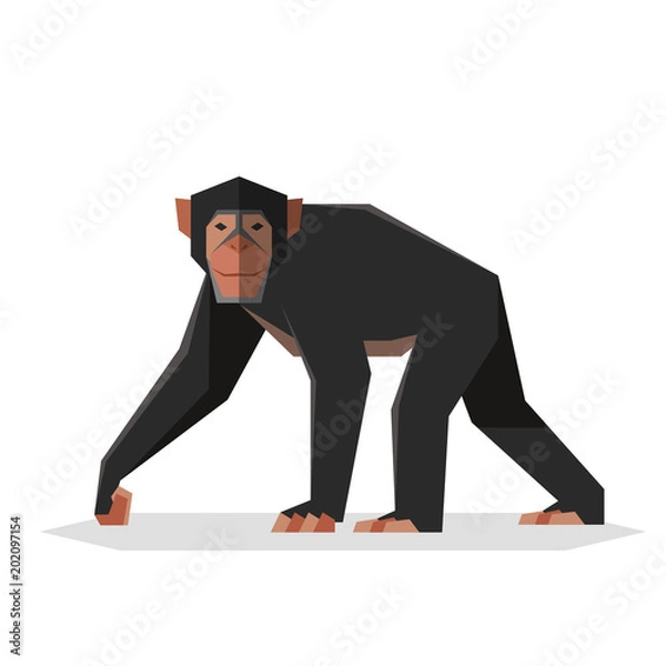 Fototapeta Flat geometric Chimpanzee