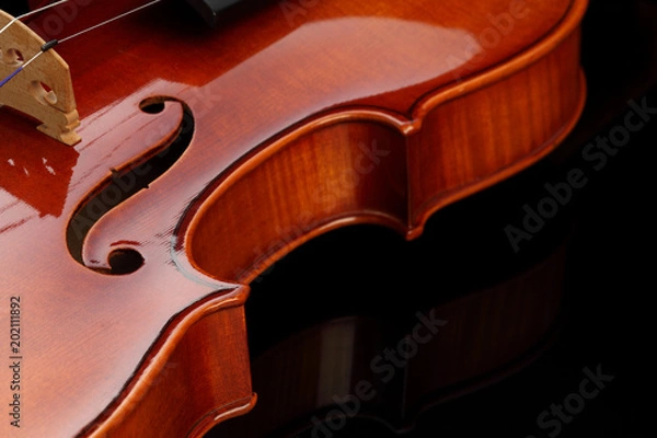 Obraz ヴァイオリン