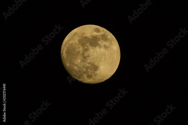 Obraz full moon in the night sky