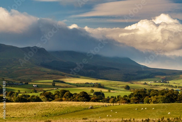 Obraz Scottish Farmland