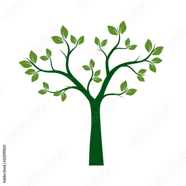 Fototapeta Green Spring Tree. Vector Illustration.
