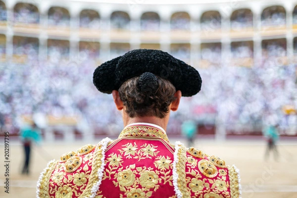 Fototapeta Bullfighter waiting for the fighting bull