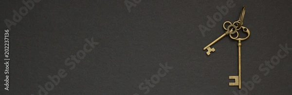 Fototapeta Old golden key on a black background space for text