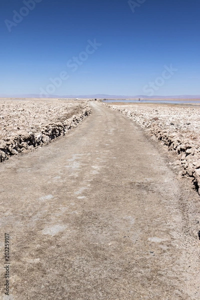 Obraz path in the middle of the salt flats in the atacama desert
