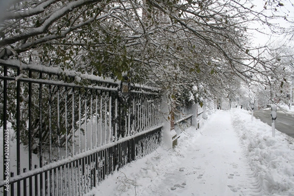 Obraz Providence RI Winter 