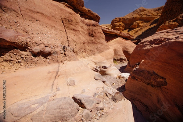 Fototapeta Way in the desert  in the Israil in sunny day with red mountains, green plants and blue sky