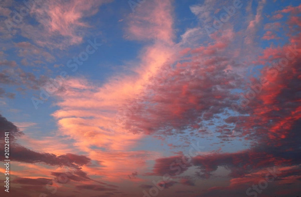 Fototapeta 夕暮れの空