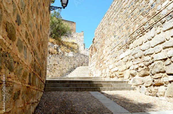 Obraz Toledo Walkway