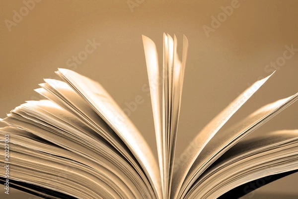 Fototapeta Book Pages Open