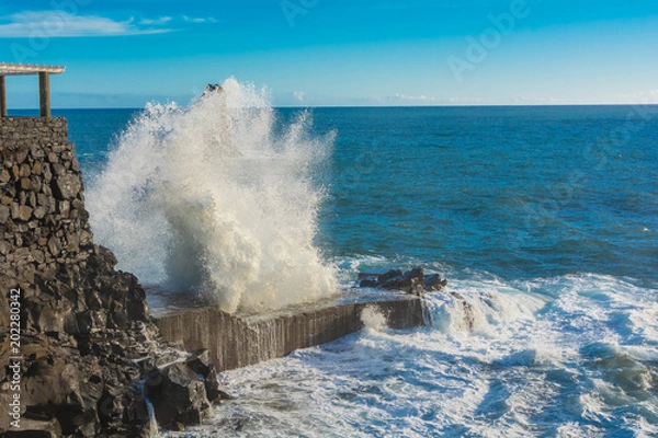 Fototapeta Wave Splash