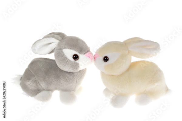 Fototapeta two bunnies