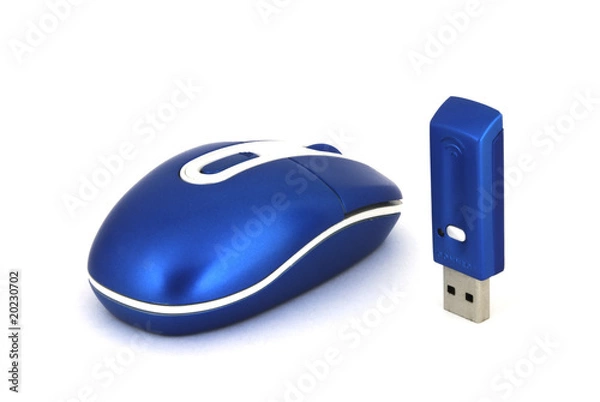 Obraz computer mouse