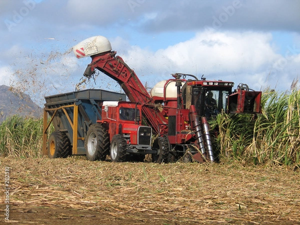 Obraz harvester