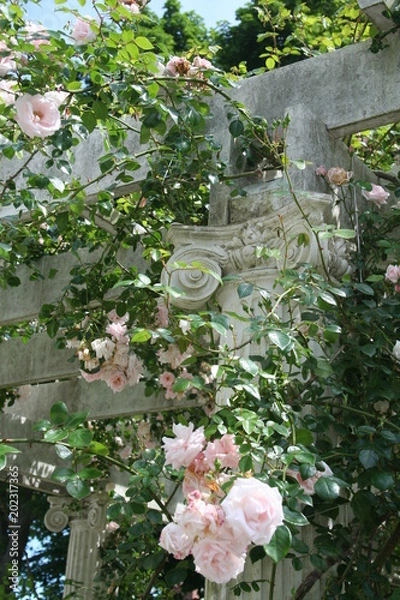 Obraz NEWPORT Rhode ISland