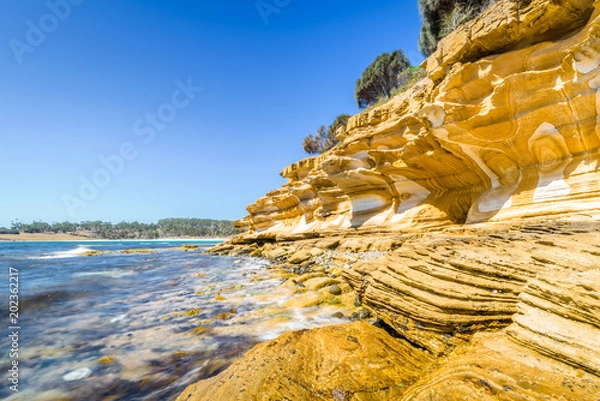 Fototapeta Amazing coast line called Painted Cliffs with orange yellow colored sand limestone rocks and geology structures at shore, perfect expedition on warm sunny clear day, Maria Island, Tasmania, Australia