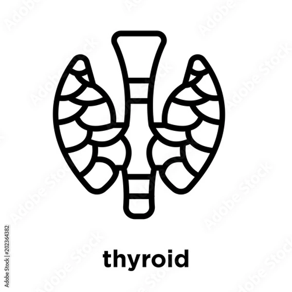 Fototapeta thyroid icon isolated on white background