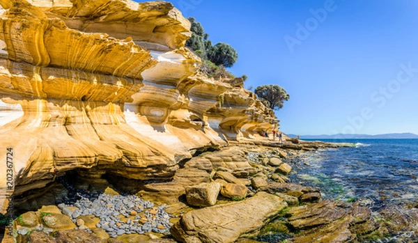 Fototapeta Amazing coast line called Painted Cliffs with orange yellow colored sand limestone rocks and geology structures at shore, perfect expedition on warm sunny clear day, Maria Island, Tasmania, Australia